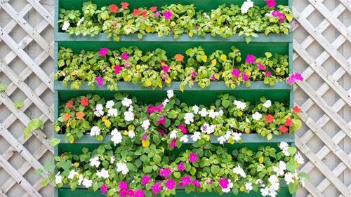 vertical green wall with various plants and flowers