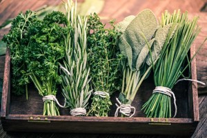 Ultimate hacks for storing fresh herbs