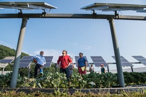 5 Easy ways to make your business more sustainable