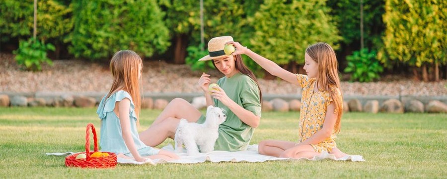 family picnics in a park