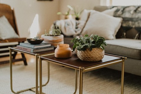 Tips to decorate your coffee table