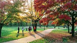 Top five things to do around Mitcham