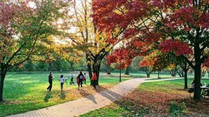 Park In Mitcham
