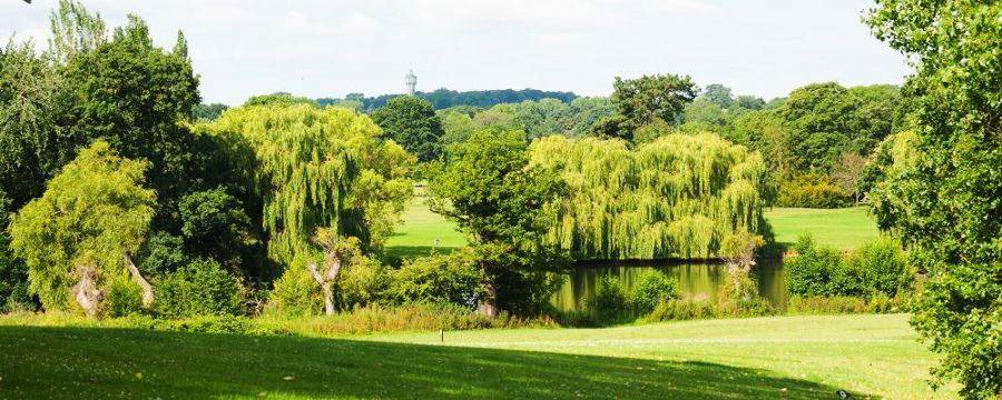 Markeaton Park in Derby, England