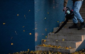 Tips for your annual spring cleaning