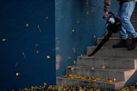 Tips for your annual spring cleaning