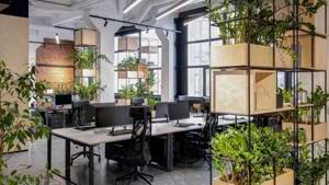 Office renovation ideas to boost productivity