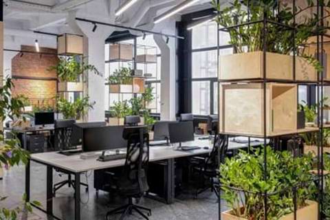 Office renovation ideas to boost productivity