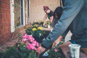 DIY tips to make your garden ready for summer