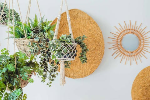 6 Budget-Friendly Garden Room Ideas for Stylish Outdoor Living