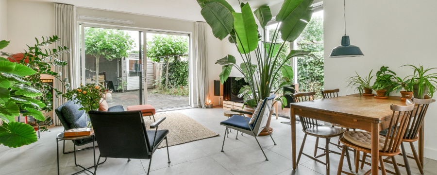 interior-of-plant-filled-house