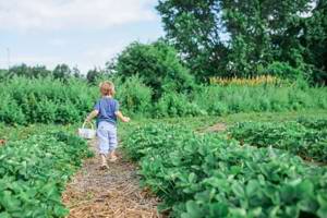 5 Tips for storing gardening equipment