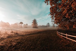 Epic adventures in and around Epsom