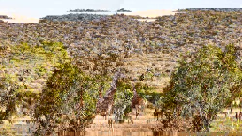 Kruger National Park