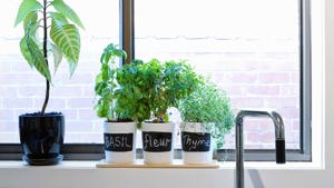 8 Clever Kitchen Window Sill Ideas to Spruce up Your Space