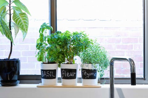 8 Clever Kitchen Window Sill Ideas to Spruce up Your Space