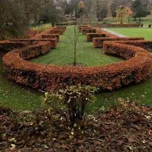 What to do, see and eat in Walsall