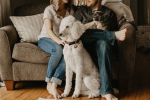 Moving in together? Here’s how to do it properly