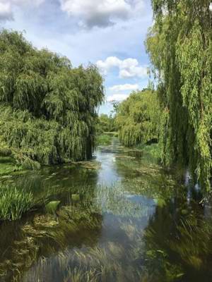 Things to do in and around Aylesford