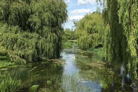 Things to do in and around Aylesford