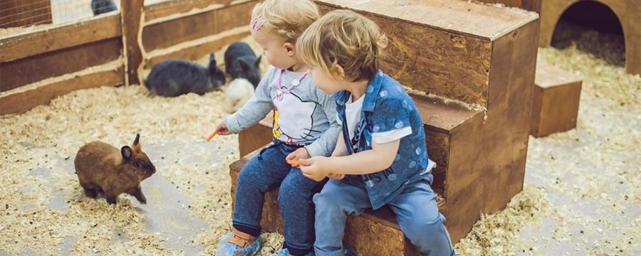 kids pet animals at a farm in the UK