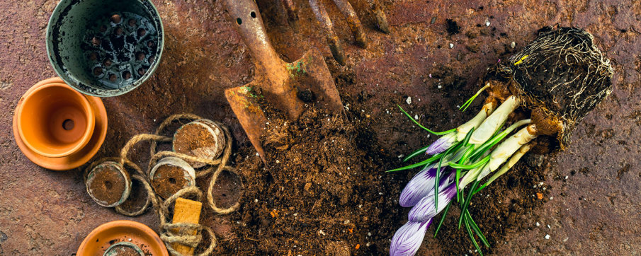 rusty-tools-laying-in-the-soil