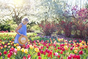 The most beautiful gardens to visit in Cambridge